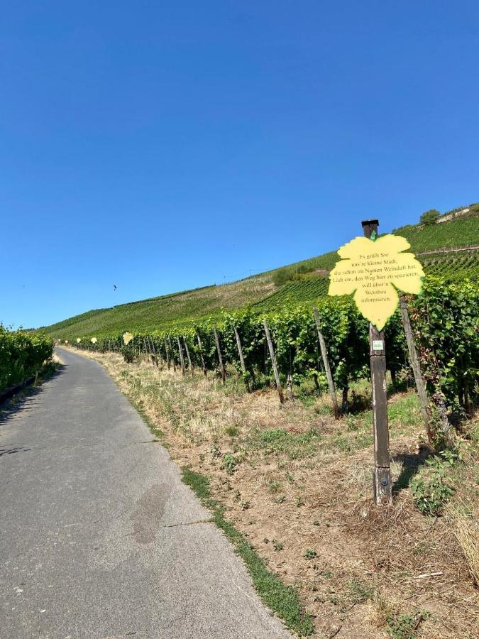 Ferienwohnung Zur Alten Schmiede Winningen Extérieur photo